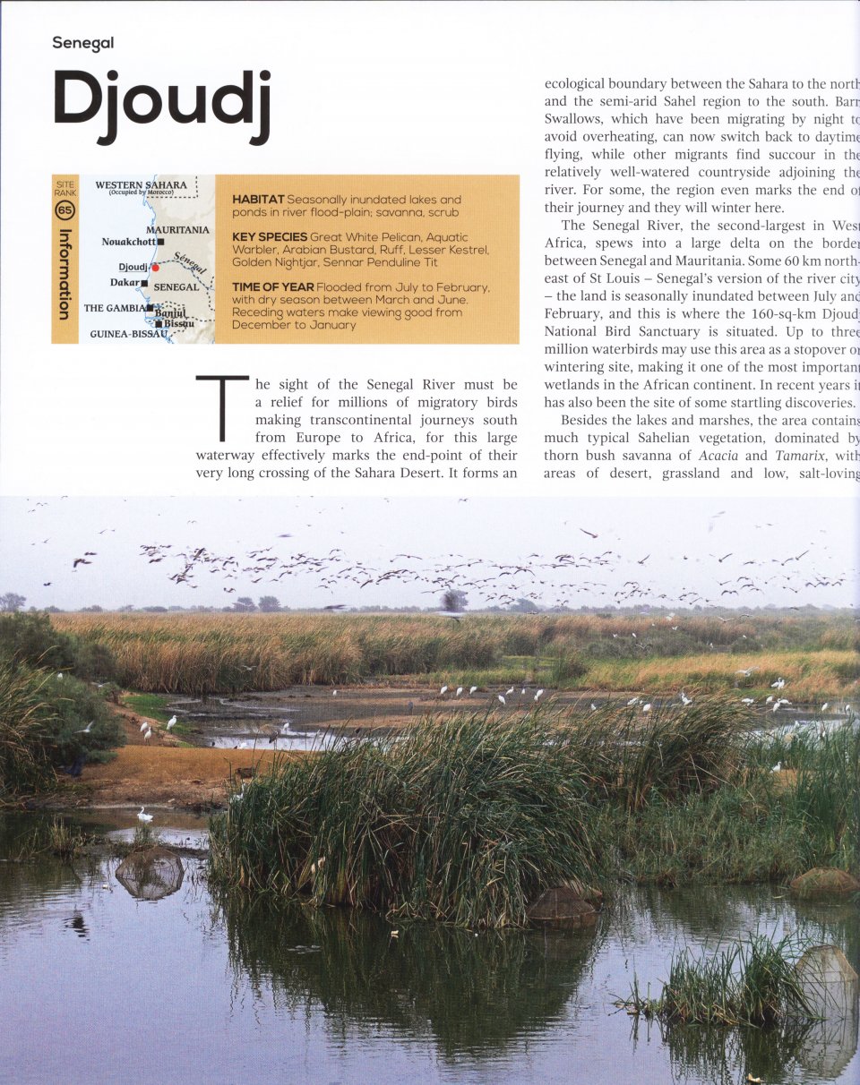 TOP 100 BIRDING SITES OF THE WORLD 5