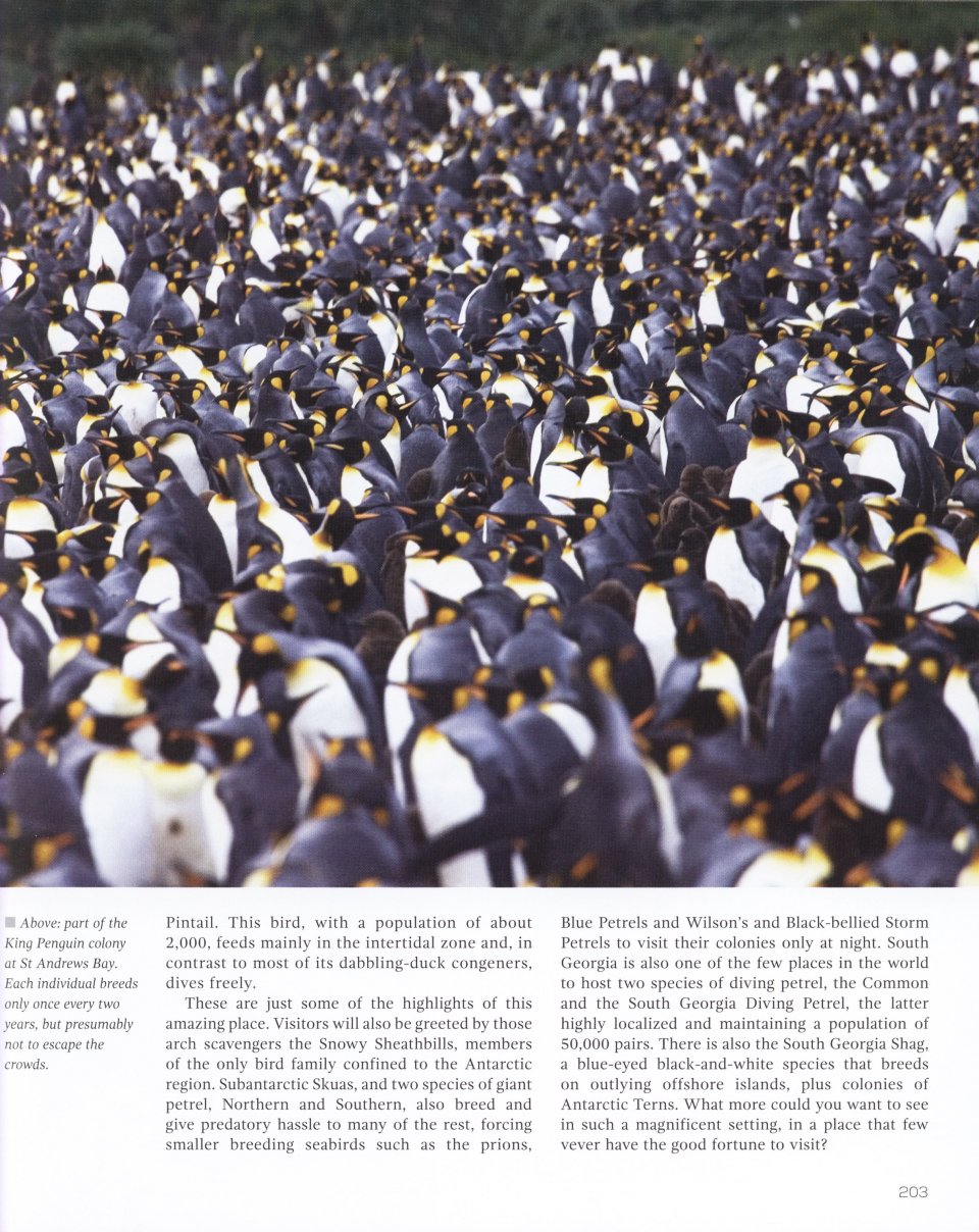 TOP 100 BIRDING SITES OF THE WORLD 6
