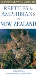 A PHOTOGRAPHIC GUIDE TO REPTILES AND AMPHIBIANS OF NEW ZEALAND
