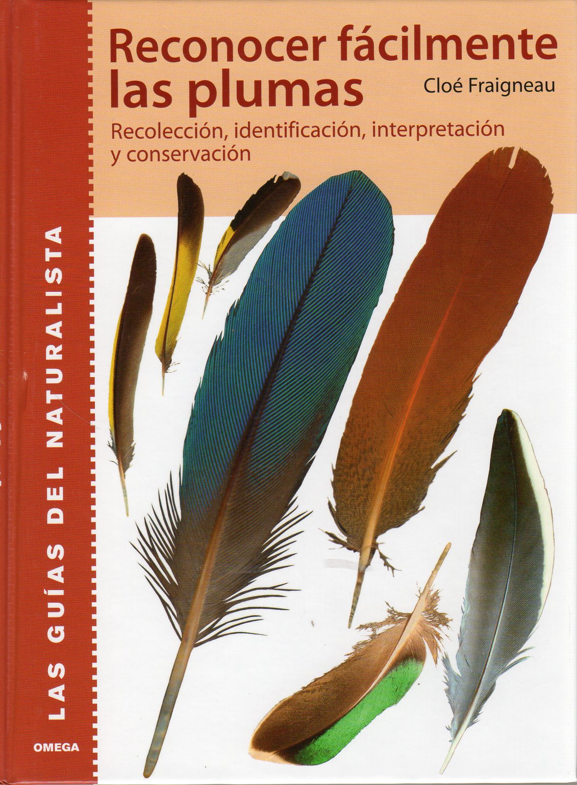 RECONOCER FÁCILMENTE LAS PLUMAS. RECOLECCIÓN, IDENTIFICACIÓN, INTERPRETACIÓN Y CONSERVACIÓN 1