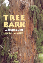 TREE BARK. COLOR GUIDE 1