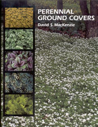 PERENNIAL GROUND COVERS