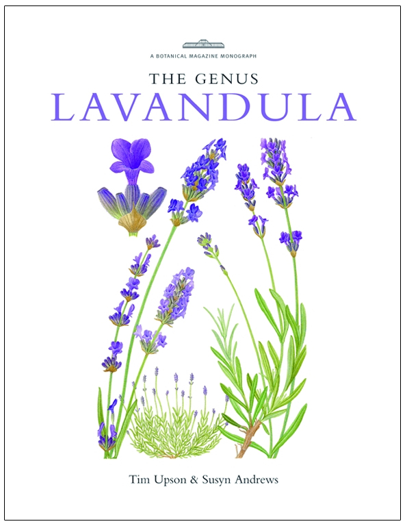 THE GENUS LAVANDULA 1