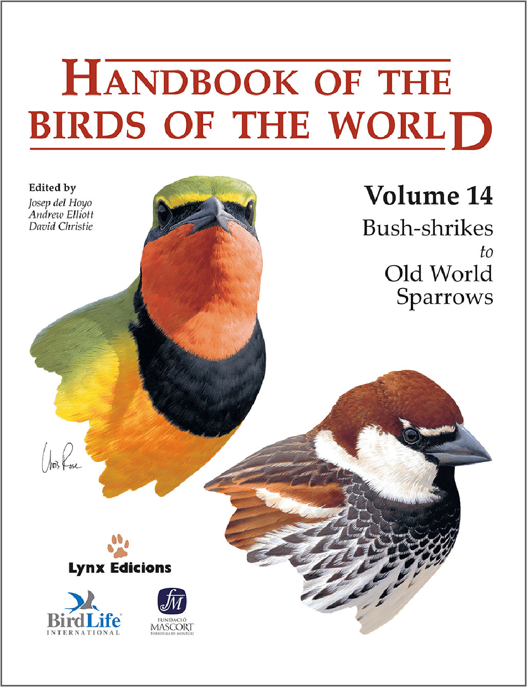 HANDBOOK OF THE BIRDS OF THE WORLD, VOL. 14. BUSH-SHRIKES TO OLD WORLD SPARROWS