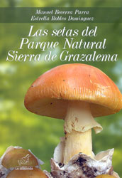 LAS SETAS DEL PARQUE NATURAL SIERRA DE GRAZALEMA