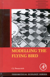 MODELLING THE FLYING BIRD