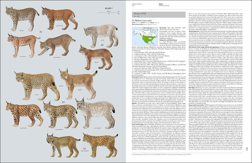 HANDBOOK OF THE MAMMALS OF THE WORLD. VOL. 1 CARNIVORES 4