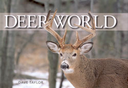 DEER WORLD 1