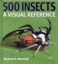500 INSECTS. A VISUAL REFERENCE 1