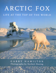 ARCTIC FOX. LIFE AT THE TOP OF THE WORLD 2