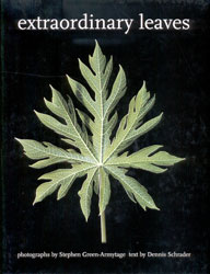 EXTRAORDINARY LEAVES 1
