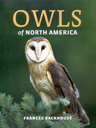 OWLS OF NORTH AMERICA 1