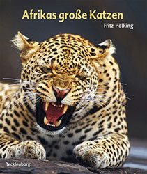 AFRIKAS GROSSE KATZEN