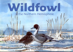 WILDFOWL OF THE NORTHERN HEMISPHERE