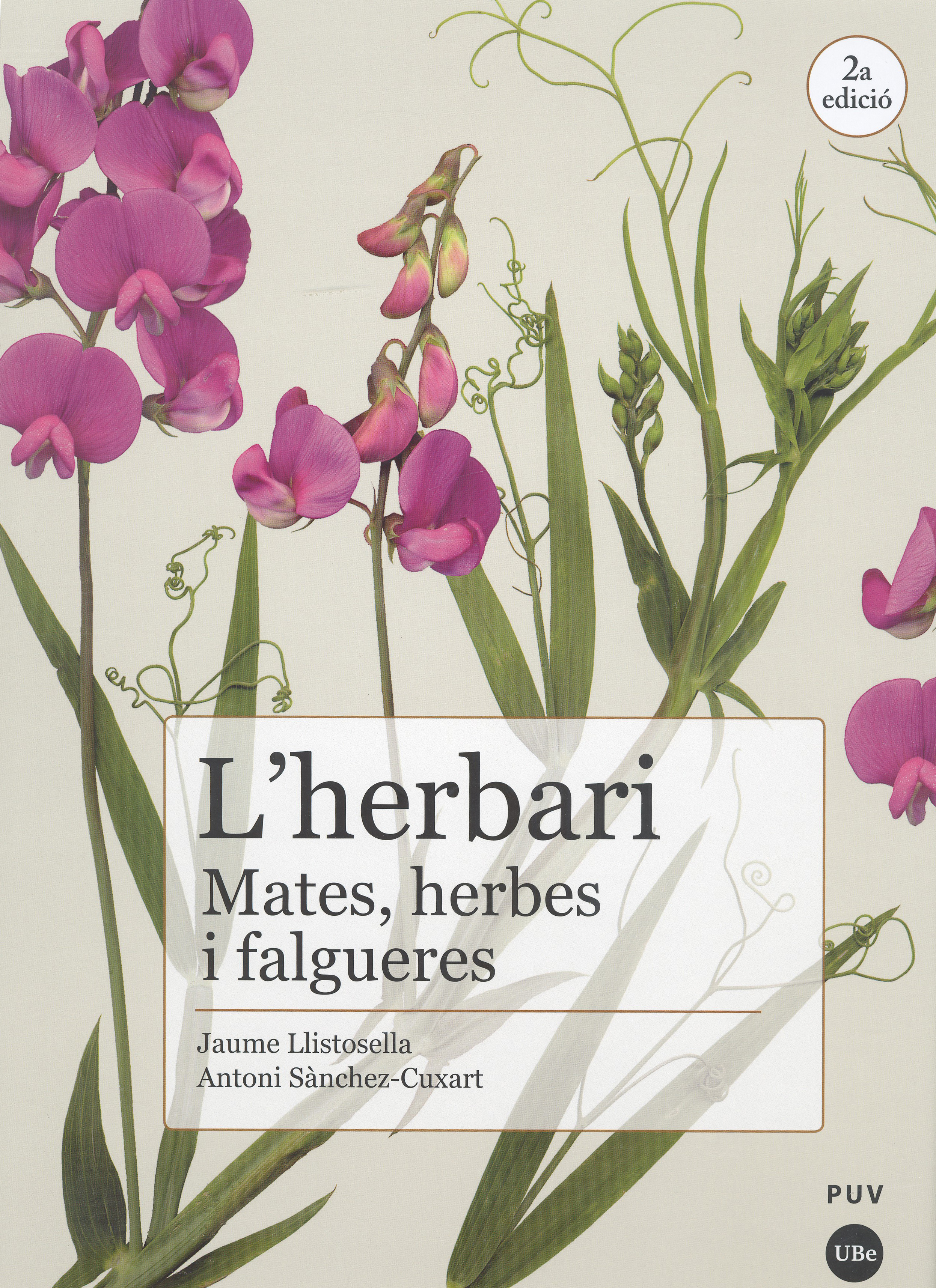 L'HERBARI, MATES, HERBES I FALGUERES 1