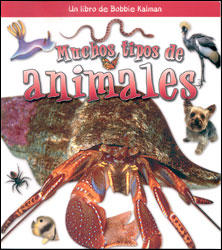 MUCHOS TIPOS DE ANIMALES