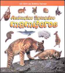 ANIMALES LLAMADOS MAMÍFEROS 1