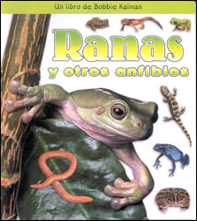 RANAS Y OTROS ANFIBIOS