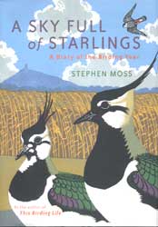 A SKY FULL OF STARLINGS