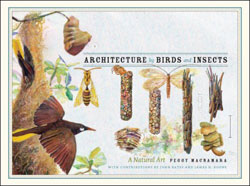 ARCHITECTURE BY BIRDS AND INSECTS 1