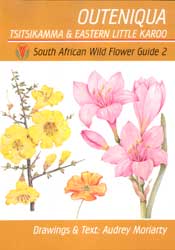 SOUTH AFRICAN WILD FLOWER GUIDE 2. TSITSIKAMMA & EASTERN LITTLE KAROO
