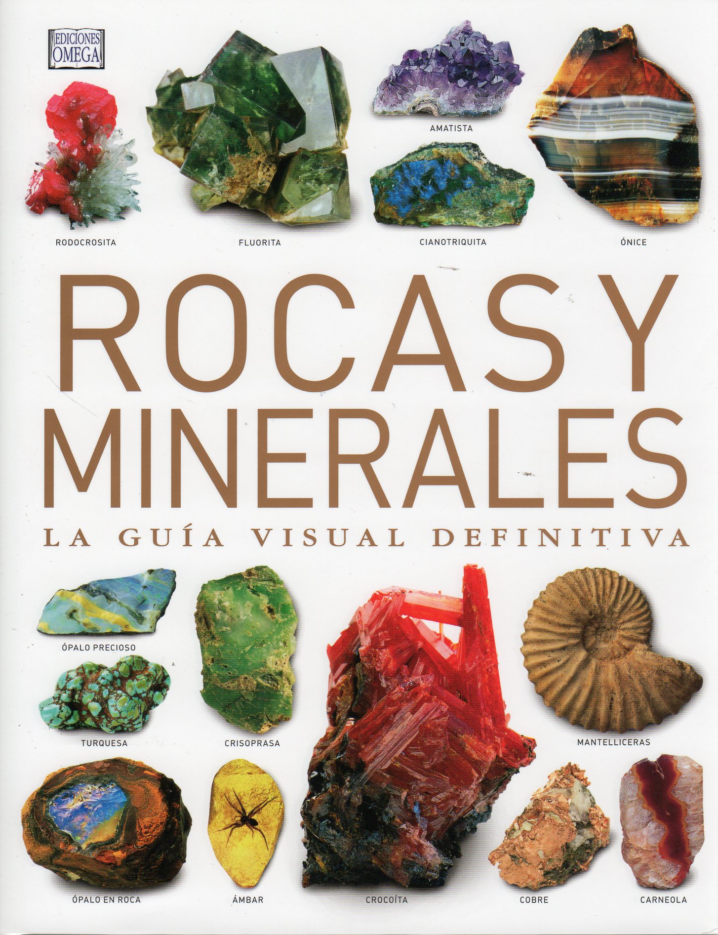 ROCAS Y MINERALES. LA GUÍA VISUAL DEFINITIVA 1