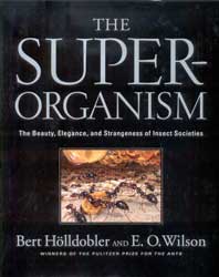 THE SUPERORGANISM. THE BEAUTY, ELEGANCE AND STRANGENESS OF INSECT SOCIETIES 1