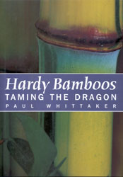 HARDY BAMBOOS. TAMING THE DRAGON