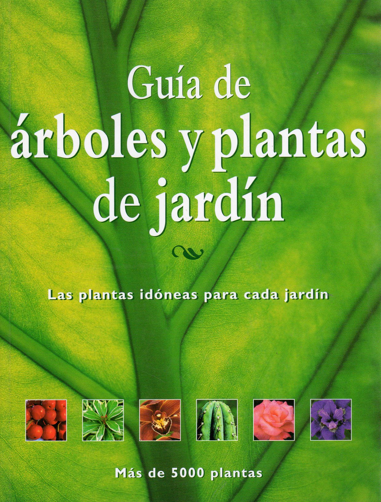 GUÍA DE ÁRBOLES Y PLANTAS DE JARDÍN. LAS PLANTAS IDÓNEAS PARA CADA JARDÍN 1