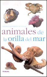 ANIMALES DE LA ORILLA DEL MAR 2