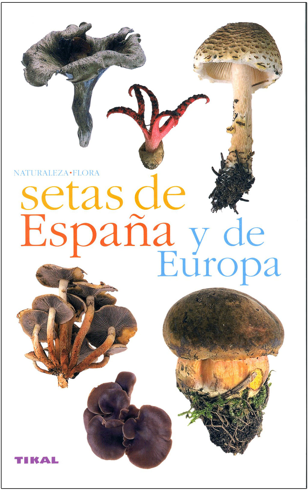 SETAS DE ESPAÑA Y DE EUROPA 1
