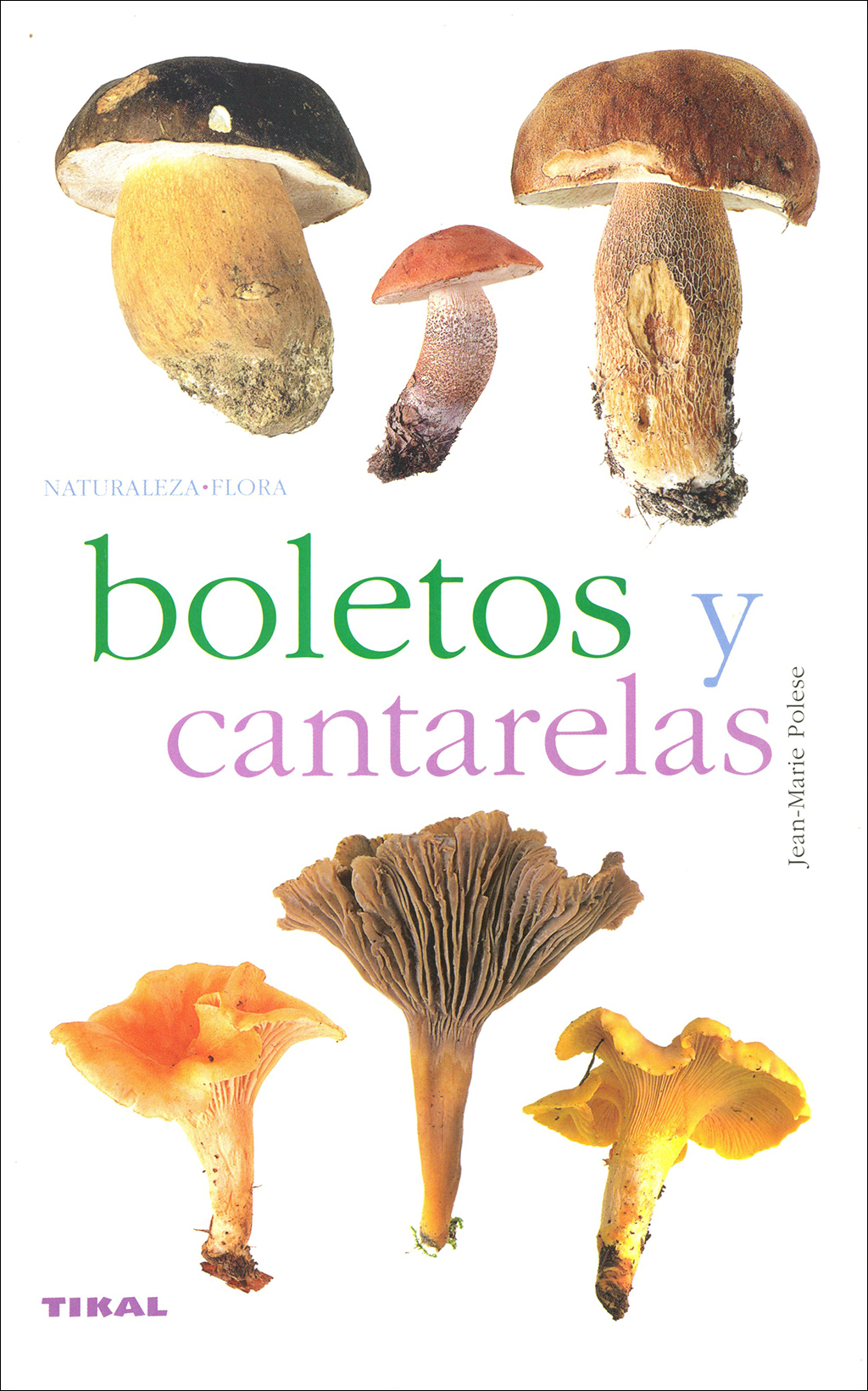HONGOS SILVESTRES. BOLETOS Y CANTARELAS 1