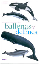 BALLENAS Y DELFINES