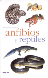 ANFIBIOS Y REPTILES 1