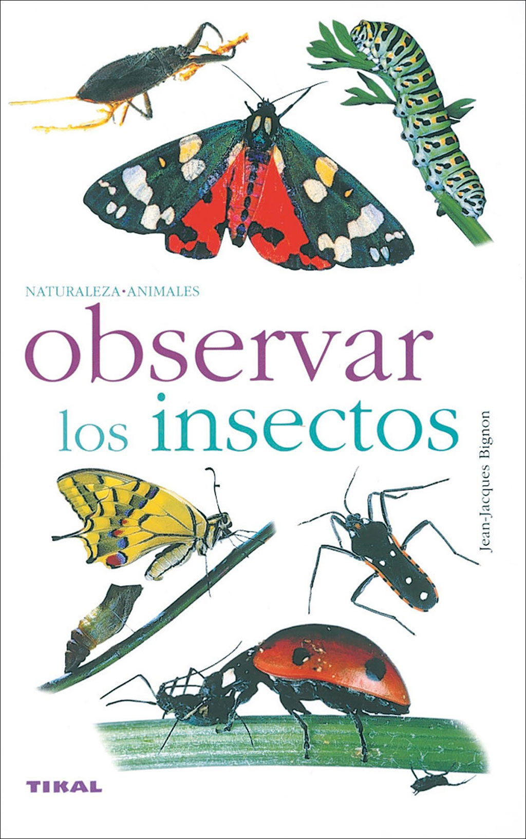 OBSERVAR LOS INSECTOS. COLECCIÓN NATURALEZA Y ANIMALES 1