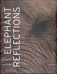 ELEPHANT REFLECTIONS 1