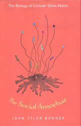 THE SOCIAL AMOEBAE 1