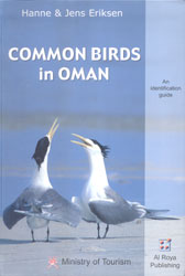 COMMON BIRDS IN OMAN