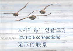 INVISIBLE CONNECTIONS 1