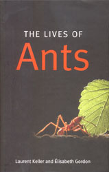 THE LIVES OF ANTS 1