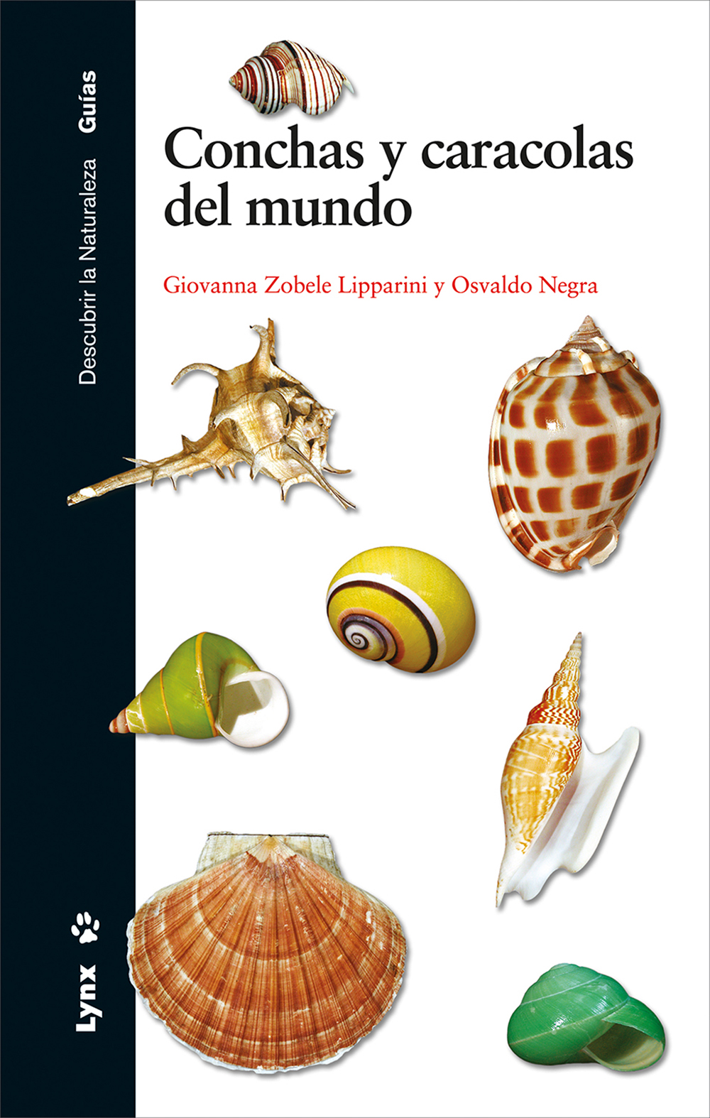 CONCHAS Y CARACOLAS DEL MUNDO