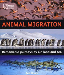 ANIMAL MIGRATION. REMARKABLE JOURNEYS BY AIR, LAND AND SEA 1
