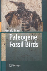 PALEOGENE FOSSIL BIRDS 1