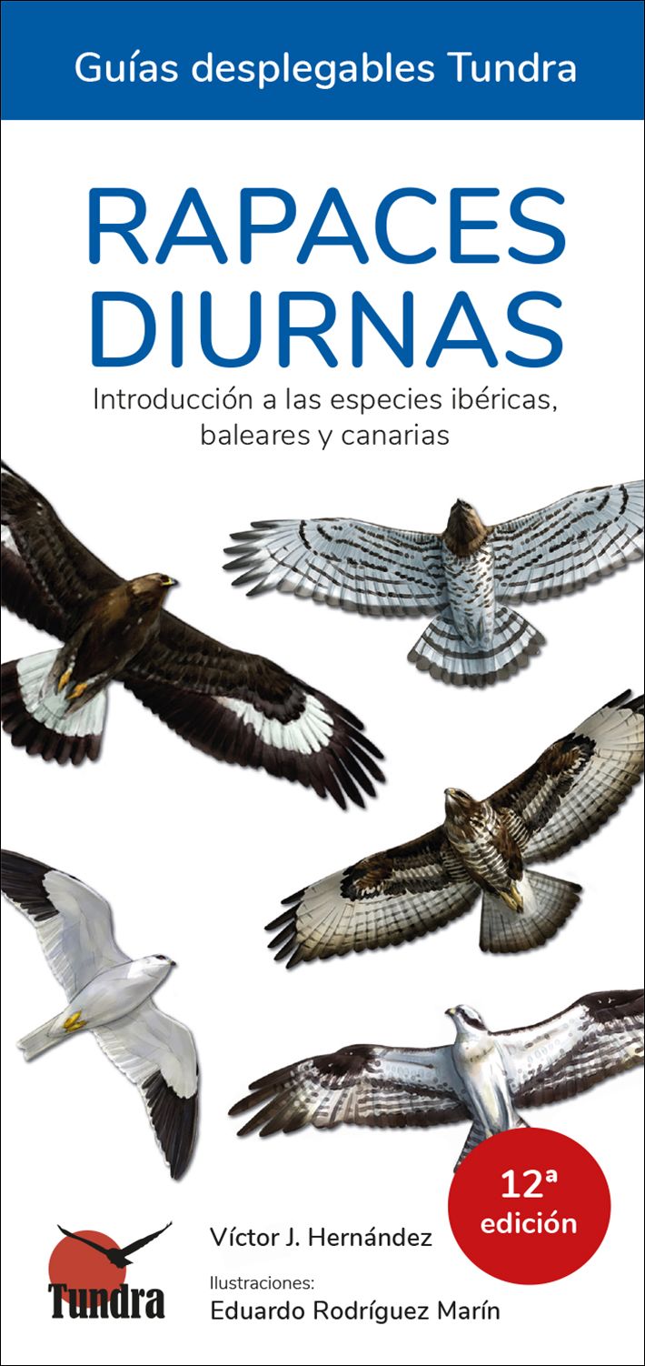 RAPACES DIURNAS. INTRODUCCIÓN A LAS ESPECIES IBÉRICAS, BALEARES Y CANARIAS. GUÍAS DESPLEGABLES TUNDRA 1