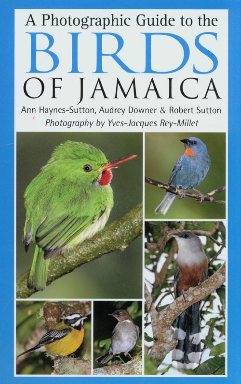A PHOTOGRAPHIC GUIDE TO THE BIRDS OF JAMAICA 1