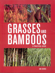 GRASSES AND BAMBOOS. A PRACTICAL GUIDE 1