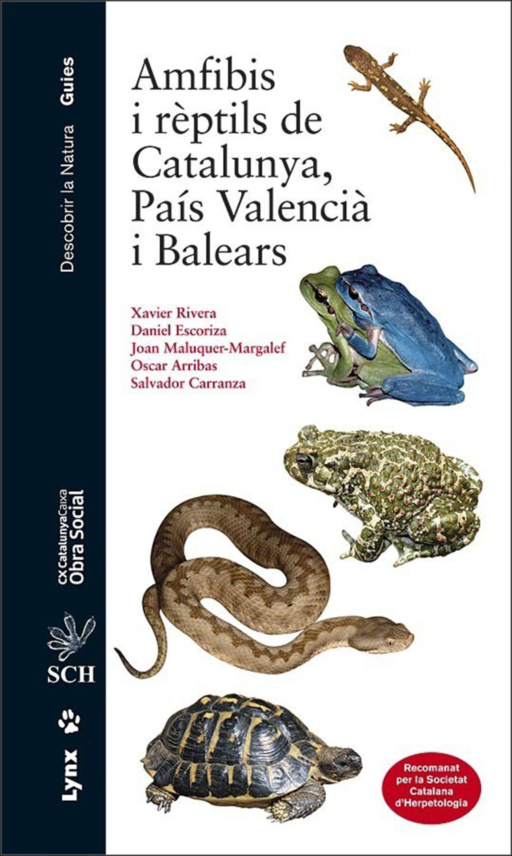 AMFIBIS I RÈPTILS DE CATALUNYA, PAÍS VALENCIÀ I BALEARS 1