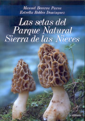 LA SETAS DEL PARQUE NATURAL SIERRA DE LAS NIEVES 1