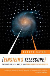 EINSTEIN'S TELESCOPE. THE HUNT FOR DARK MATTER AND DARK ENERGY IN THE UNIVERSE 1
