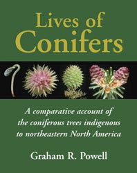 LIVES OF CONIFERS 1